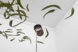 Federico Roldan Vukonich