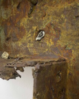 Federico Roldan Vukonich