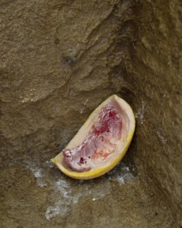 Federico Roldan Vukonich