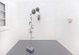 Federico Roldan Vukonich