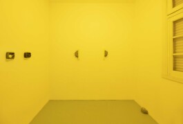 Federico Roldan Vukonich