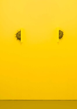 Federico Roldan Vukonich