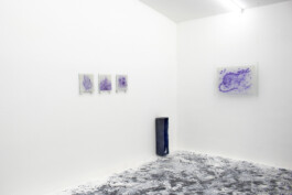 Federico Roldan Vukonich