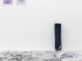 Federico Roldan Vukonich